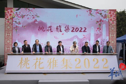 桃花雅集2022 白云區非遺沉浸式體驗開啟文化交融新篇章