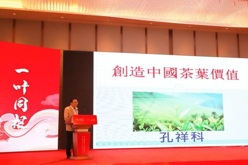 兩岸茶香，技藝同輝——福安兩岸茶文化傳承發展與產業交流盛會