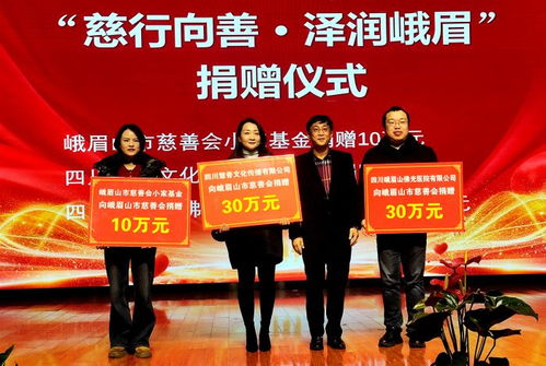 慈行向善 澤潤峨眉——2025年度峨眉山市慈善工作與文化融合新篇章